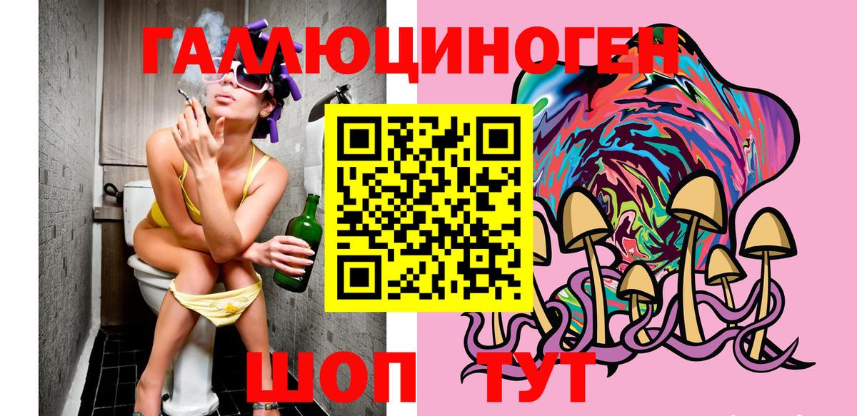 Гусиноозёрск  Галлюциногенные грибы GOLDEN TEACHER  Вход с VPN 