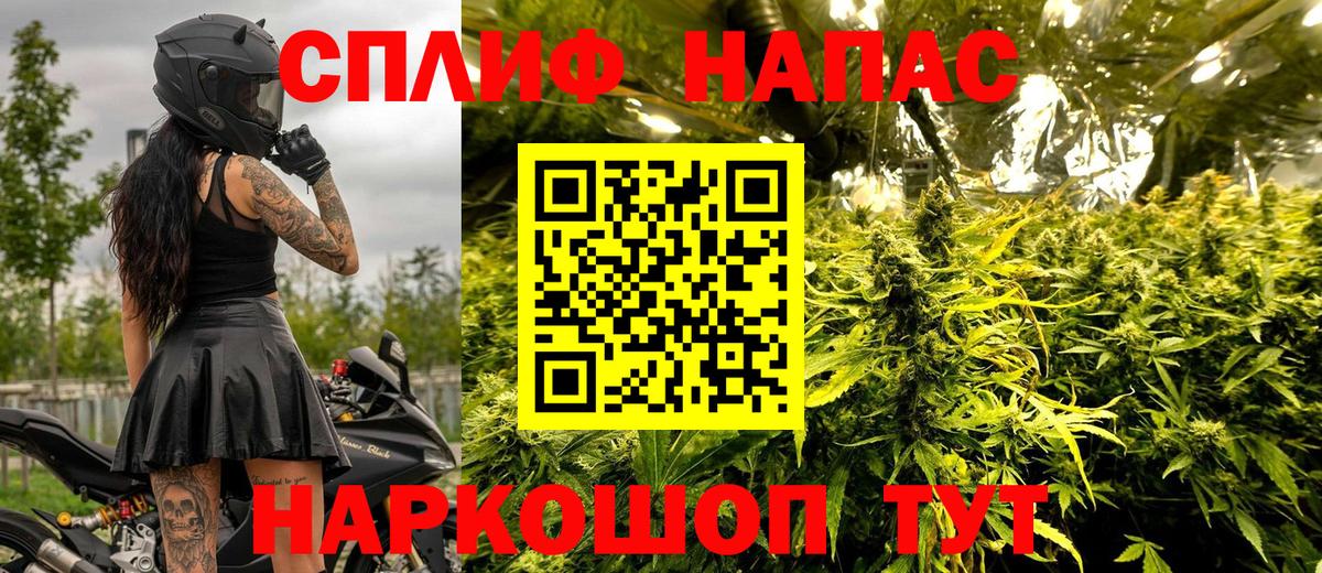 Конопля индика Гусиноозёрск